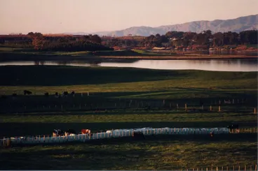 Image: Matthew Stickle's Farm and Lake Horowhenua