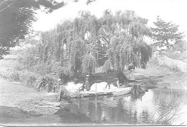 Image: Footbridge on Hokio Stream