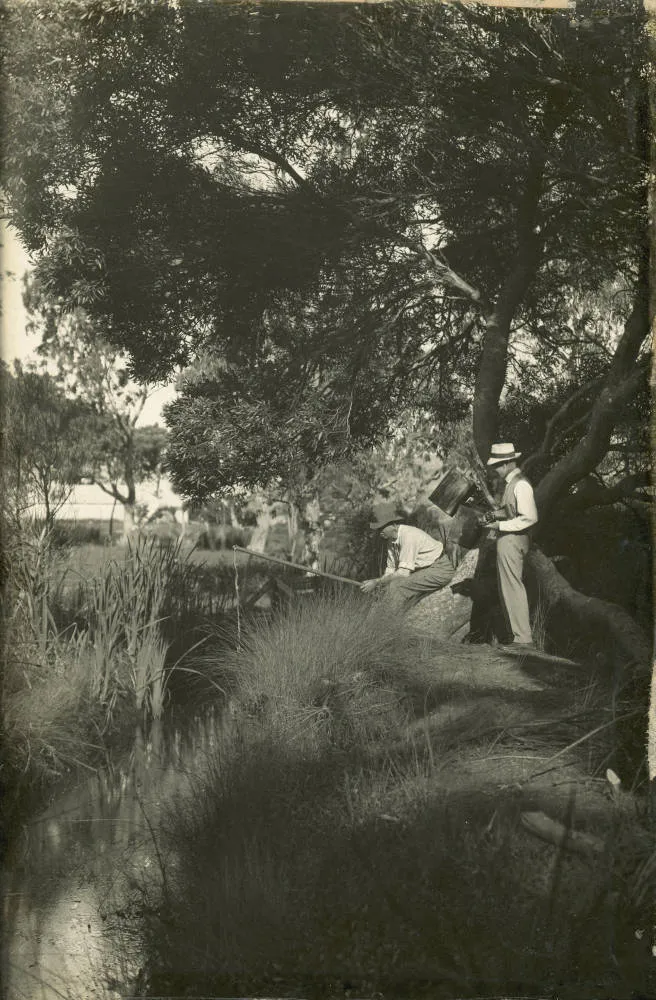 Alexander Brown and friend fishing in Taiaotea Creek, Browns Bay.