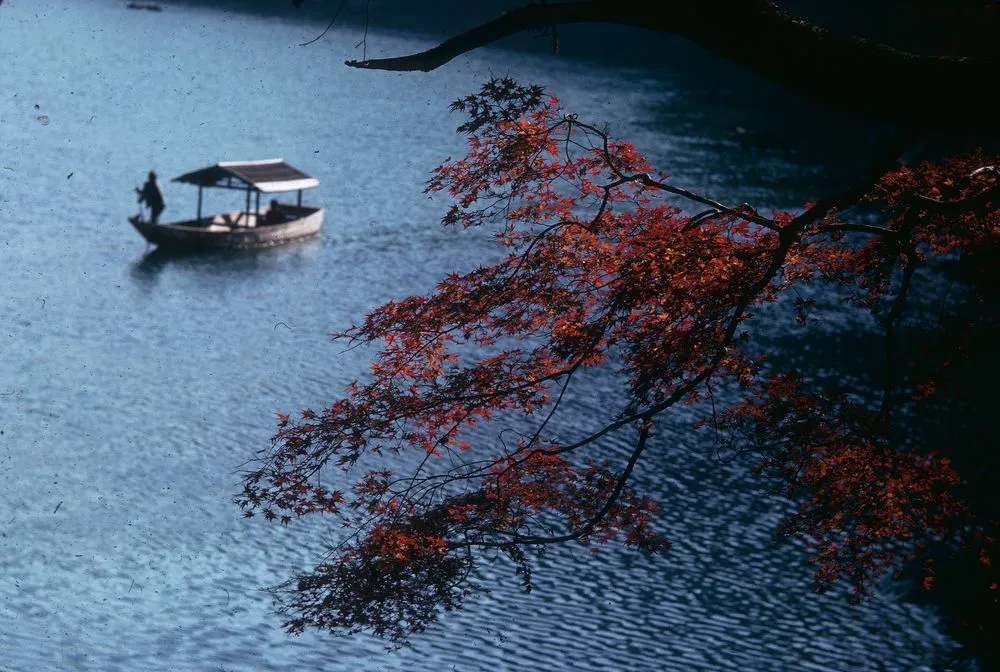 Japan Series: Arashiyama