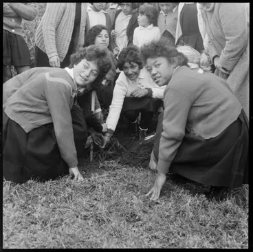 Image: Matapihi School Arbor Day tree planting.
