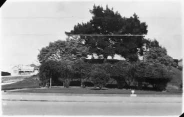 Garden Place, Hamilton Image: Garden Place, Hamilton