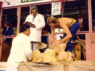 Brian Quinn shearing in Trans-Tasman test : digital image