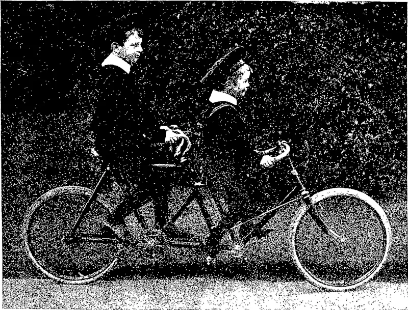 Untitled Illustration