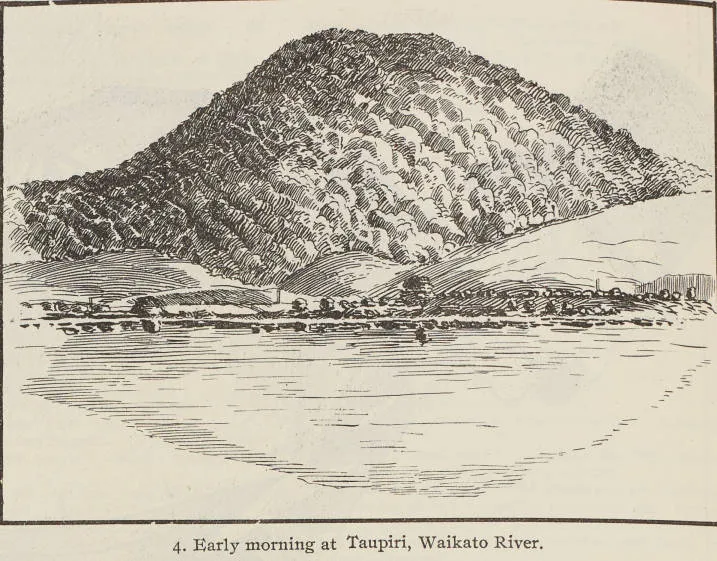 Early morning at Taupiri, Waikato River