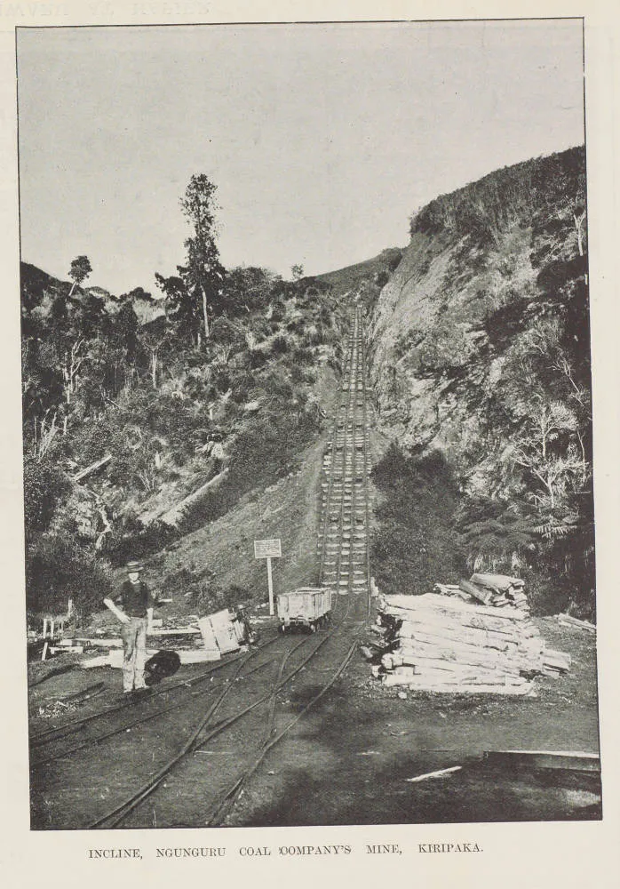 Incline, Ngunguru Coal Company's mine, Kiripaka