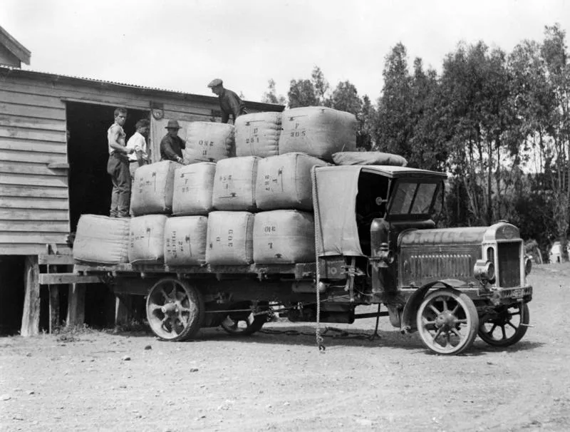 Wool bales, Maraekakaho Station
