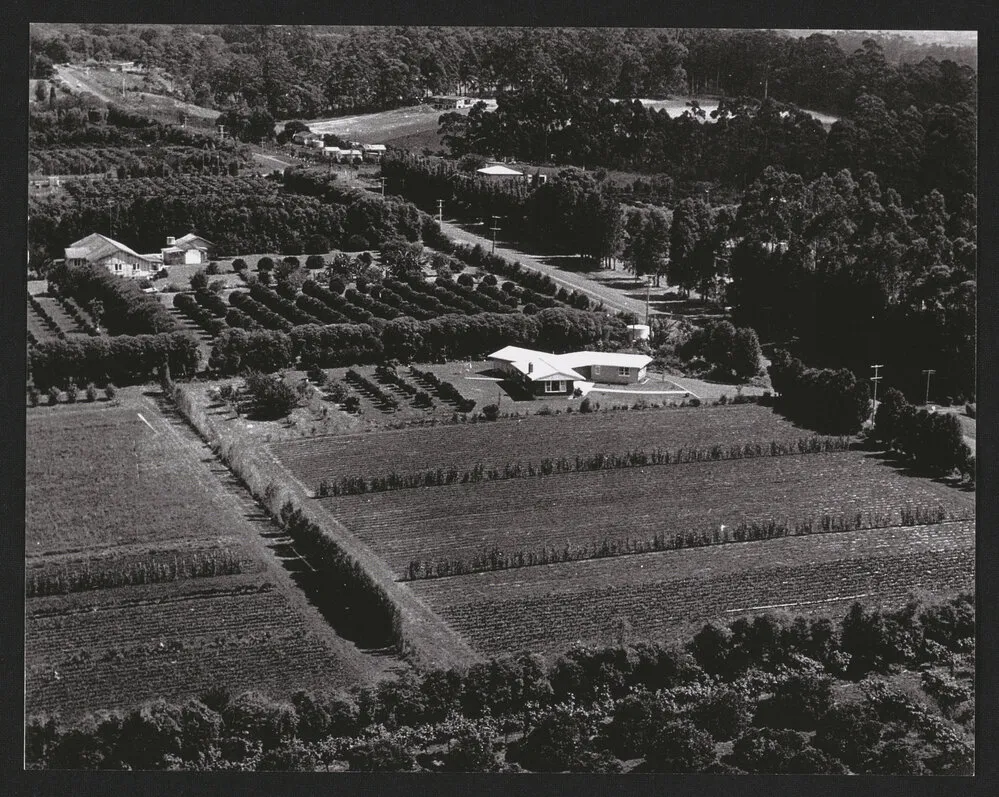 Hardcastle Photographs (25)