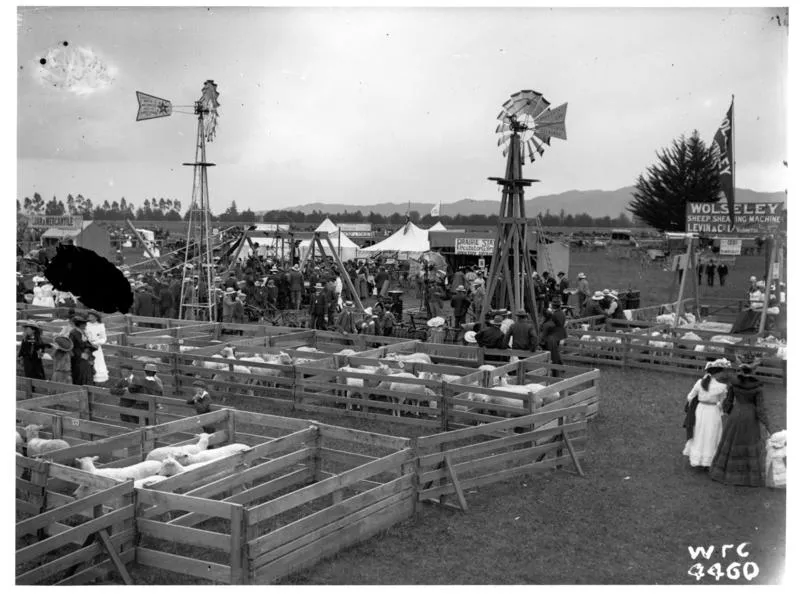 Sheep pens & trade exhibits, A & P Show, 1904.