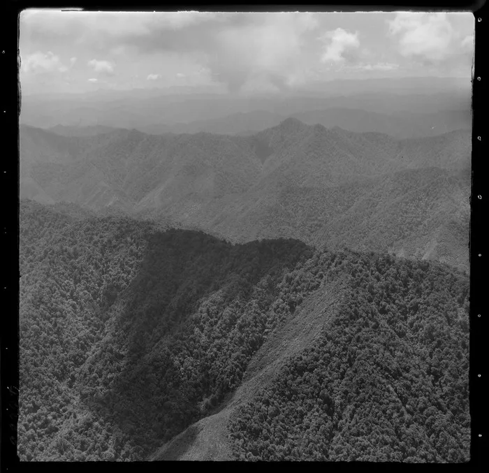 Waioeka Gorge, Bay of Plenty