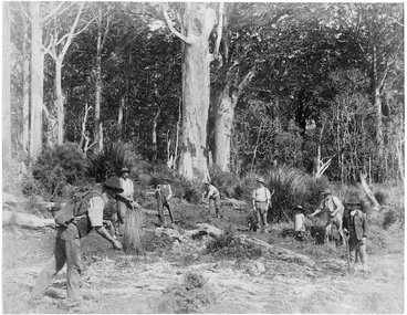 Image: Kauri gum diggers, location unidentified