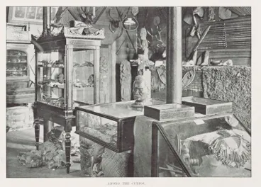 Image: Among the curios