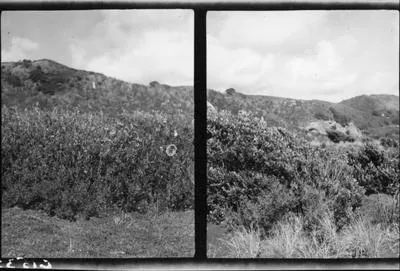 North end of the dunes.