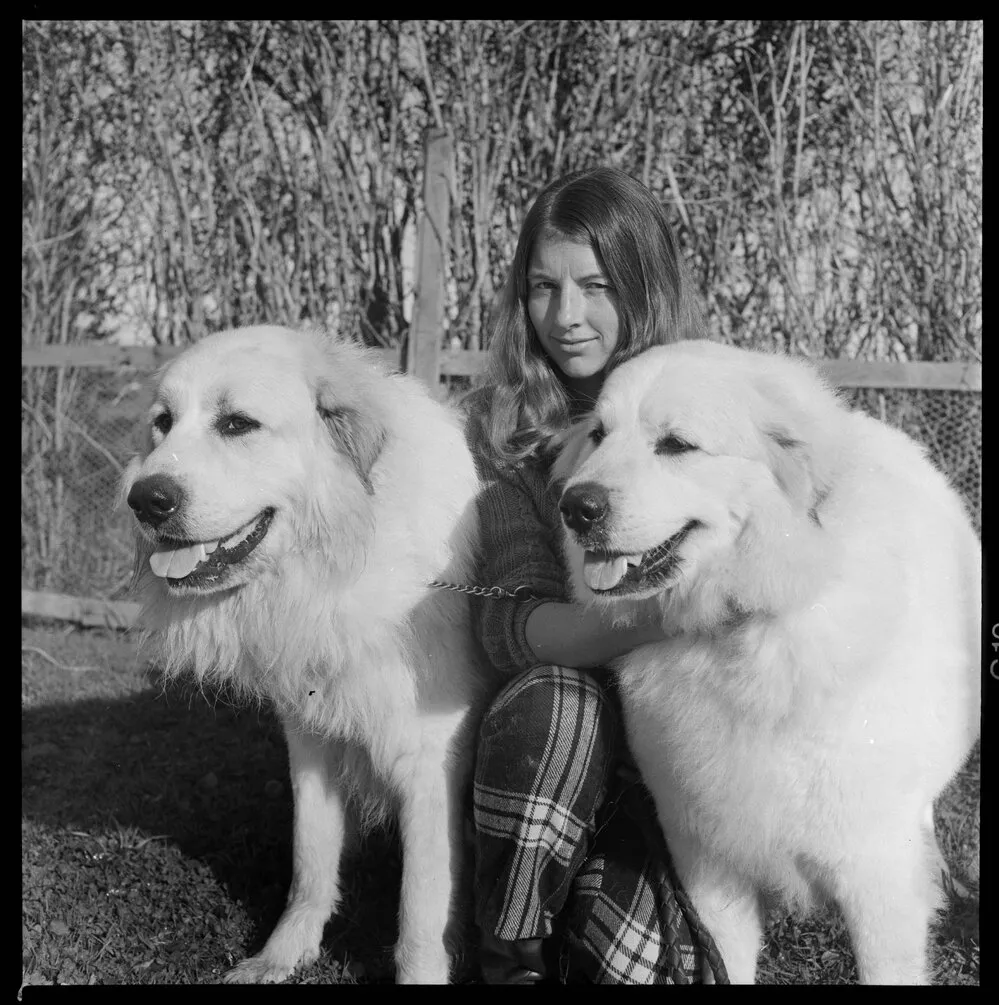 Miss Watson and dogs