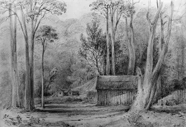 Image: Swainson, William, 1789-1855 :Many-branched pine / W S - 1845