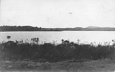 Lake Horowhenua from eastern side Image: Lake Horowhenua from eastern side
