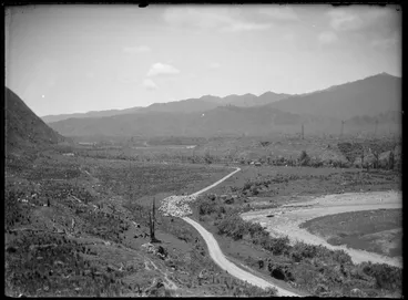 Image: Mustering sheep