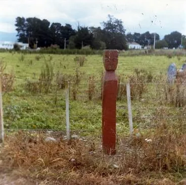Image: Papawai whakapakoko: Photograph