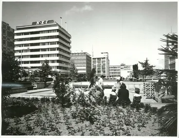 Image: Auckland - Hamilton
