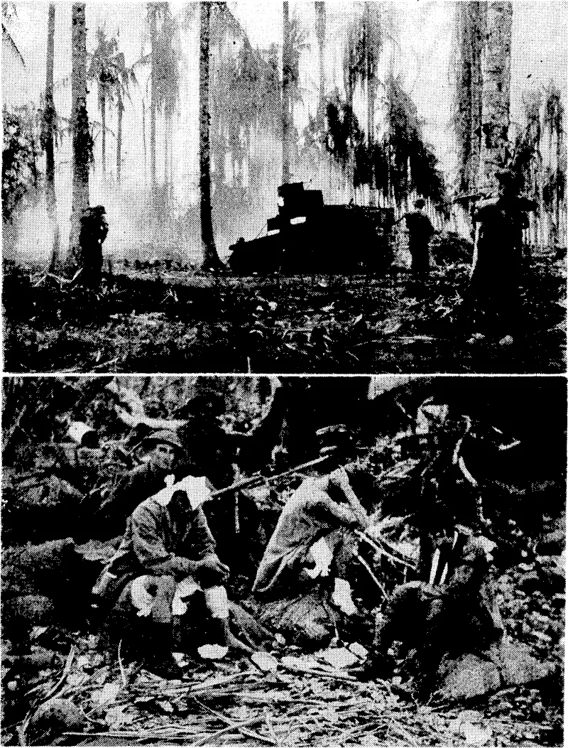 The war in Papua. Top, an Australian-manned General Stuart tank attacking a Japanese position in the final assault on Buna. The photograph was taken during the fighting, and infantry are seen picking off fleeing Japanese. Beloiv, Japanese captured in fhe final assault on Gona. (Evening Post, 08 February 1943)