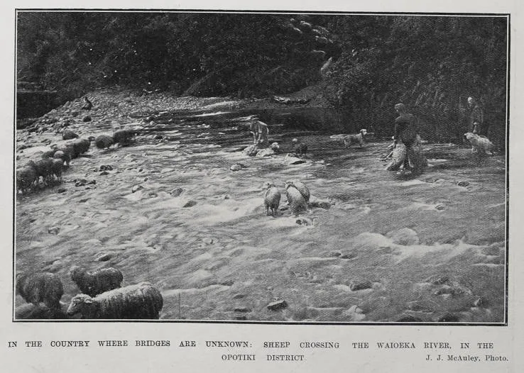 In The Country Where Bridges Are Unknown