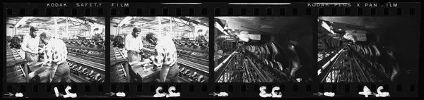 Factory of Suckling brothers’ footwear