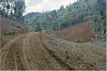 Image: Photograph, Kopu-Hikuai Road