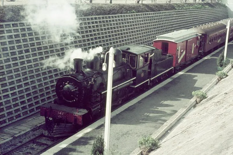 Train on lowered line at Hamilton