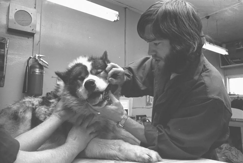 NZARP Personnel: with Dogs