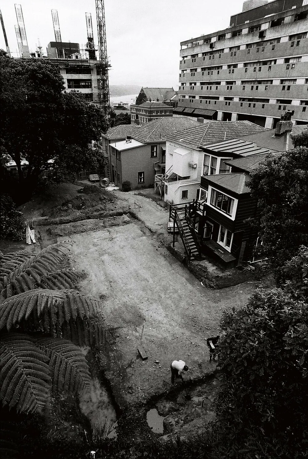 Preparing the foundations of Te Tumu Herenga Waka