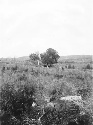 Image: Ōhaeawai, Northland