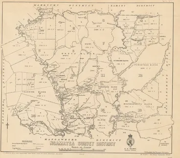 Image: Ngamatea Survey District [electronic resource].