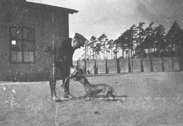Image: [Soldier with dog].