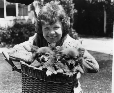 Image: Young Girl With Two Dogs In Her Bicycle Basket. Christchurch, Canterbury, New Zealand