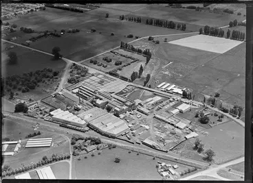 Image: Freezing Works, Tomoana, Hastings