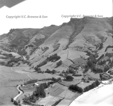 Image: Allandale near Governors Bay. The poplar trees ... (4725/4784)