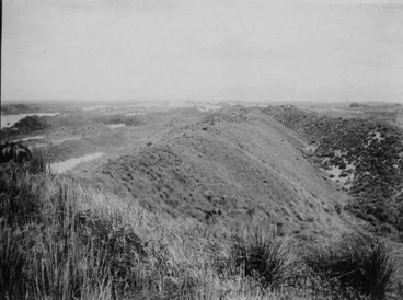 Inland Sand Dunes to the West of Lake Horowhenua Image: Inland Sand Dunes to the West of Lake Horowhenua
