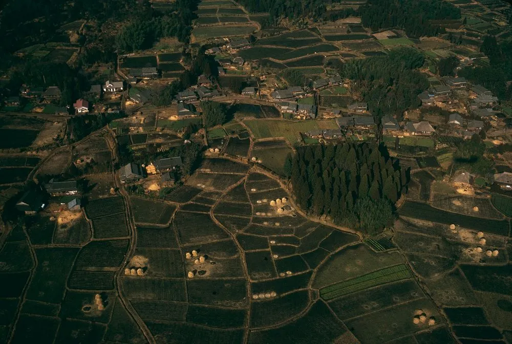 Japan Series: Landscape