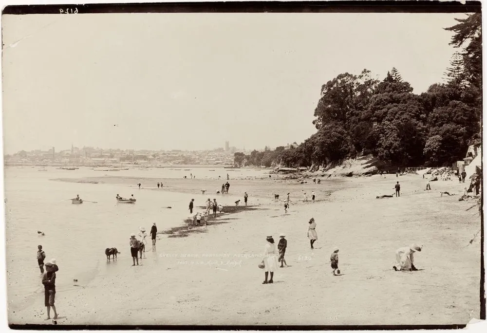 Shelly Beach, Ponsonby, Auckland