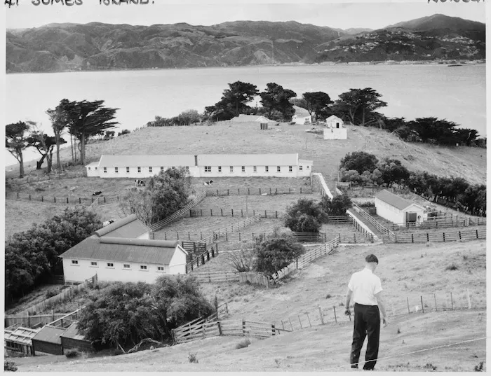 Somes Island, Wellington