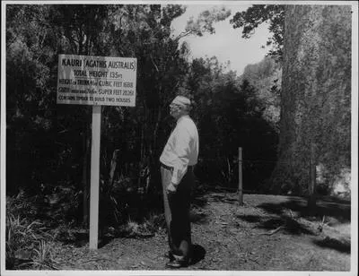 J. McPherson, Director of Parks, Cascades, Kauri Park
