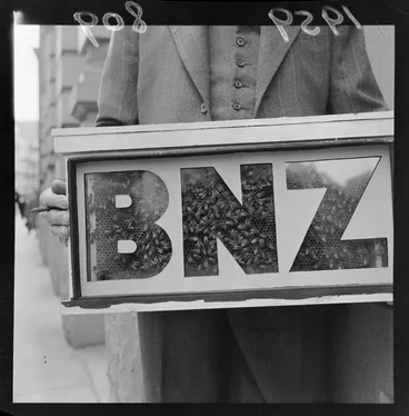 Image: Bees in hive with the letters BNZ written on it