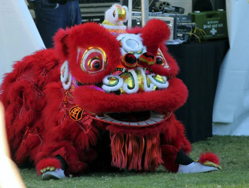 Lion dance, Auckland Lantern Festival.
