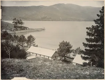 Image: Edmund Wheeler & Son, fl 1872-1914 :Quarantine Station, Quail Island, Lyttelton Harbour