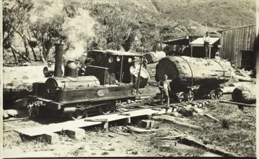 Image: Locomotive and kauri log at Piha Mill