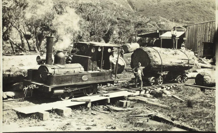 Locomotive and kauri log at Piha Mill