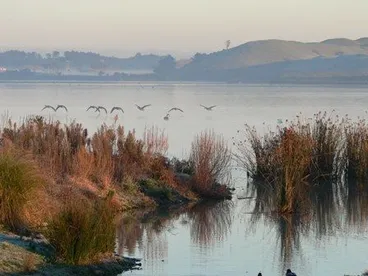 Lake Horowhenua Image: Lake Horowhenua