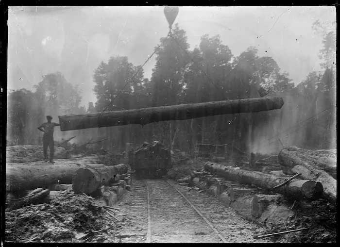 Loading logs at Pokaka.