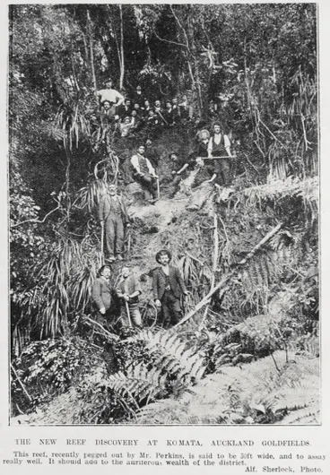 Image: The new reef discovery at Komata, Auckland Goldfields