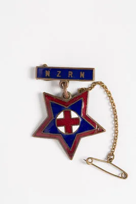 badge, nursing